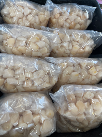 Nantucket Bay Scallops Gift